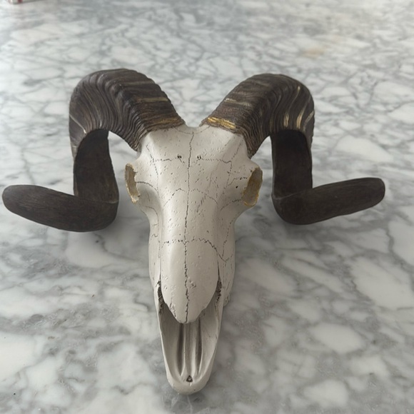 Decorative Rams Skull Statue Hanging Wall Decor New - Picture 1 of 5